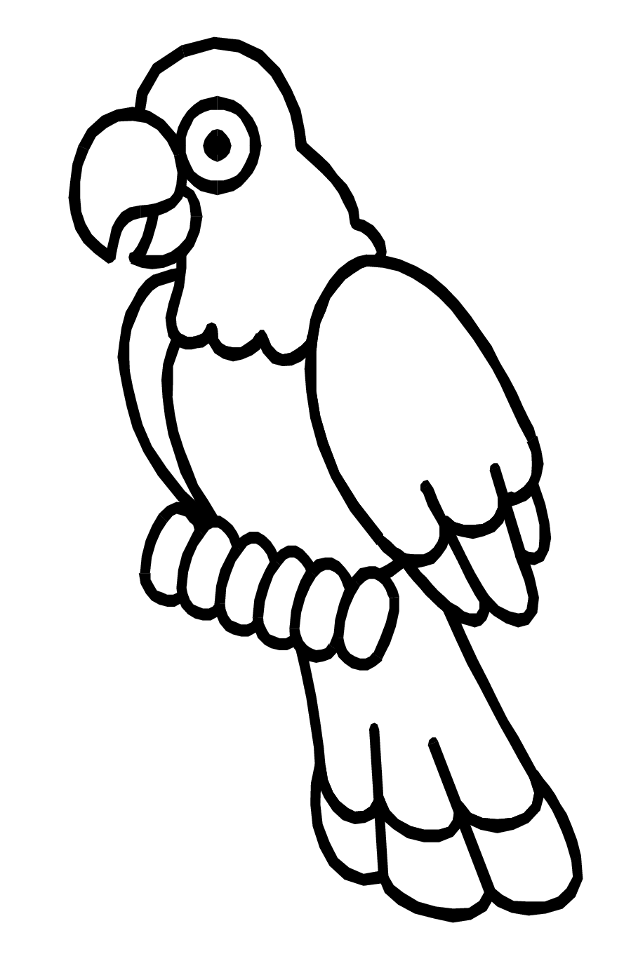 all-about-parrots-parrot-colouring-picture1