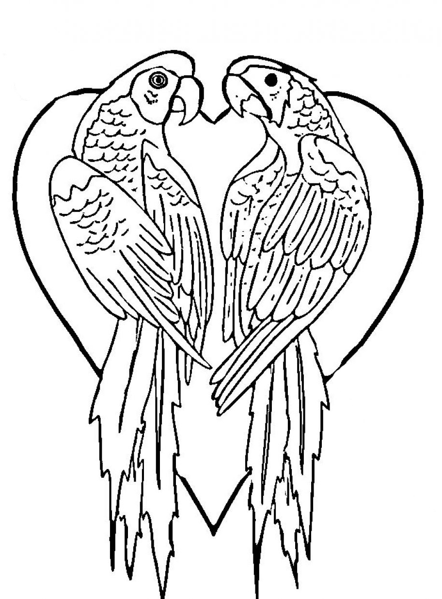 Parrot colouring picture