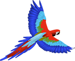 macaw parrot